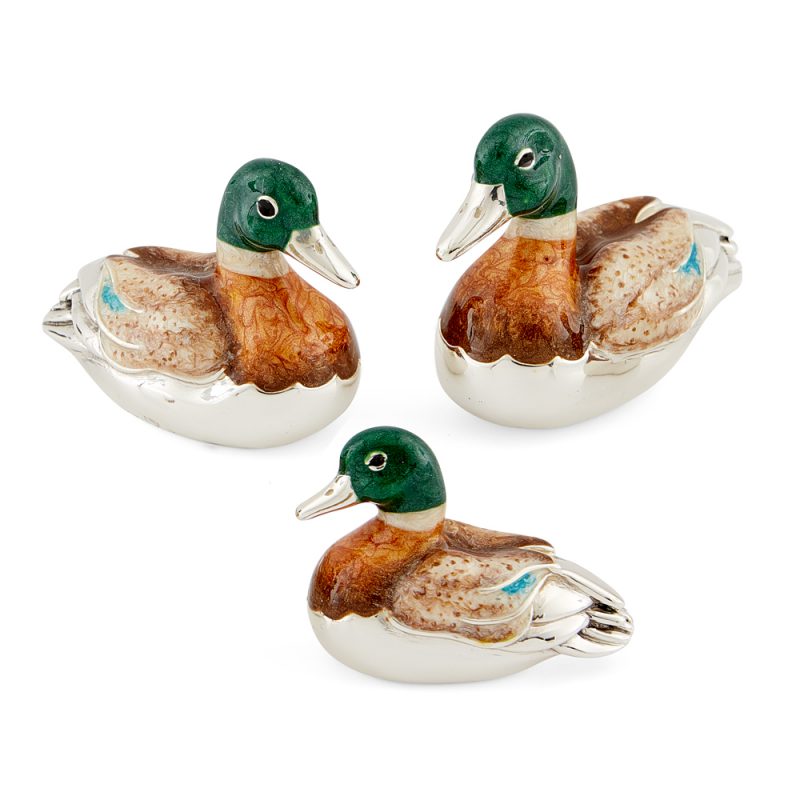 ST242-Swimming-duck-family