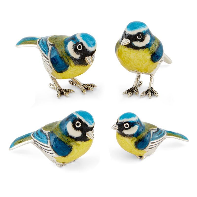 ST297-Blue-tit-family