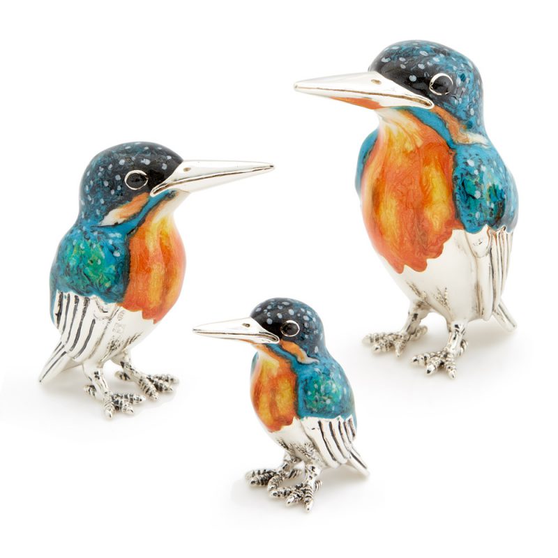 ST304-Kingfisher-Family