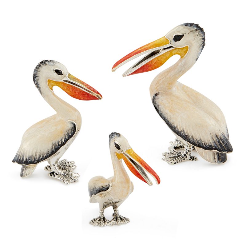 ST357-Pelican-family