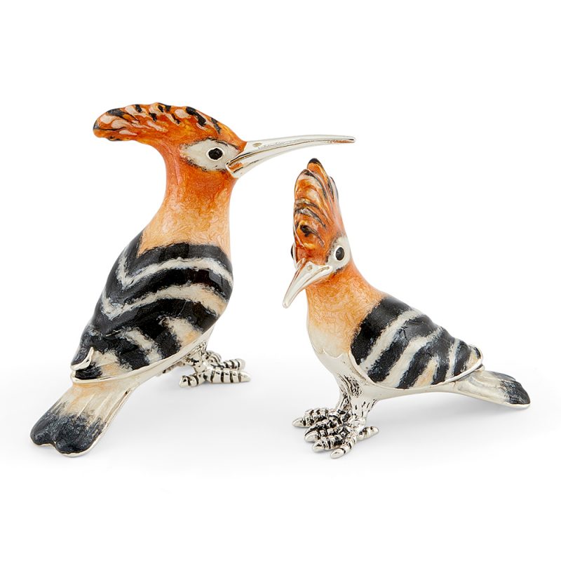 ST393-Hoopoe-family