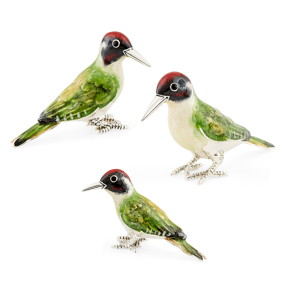 ST435-Woodpecker-family