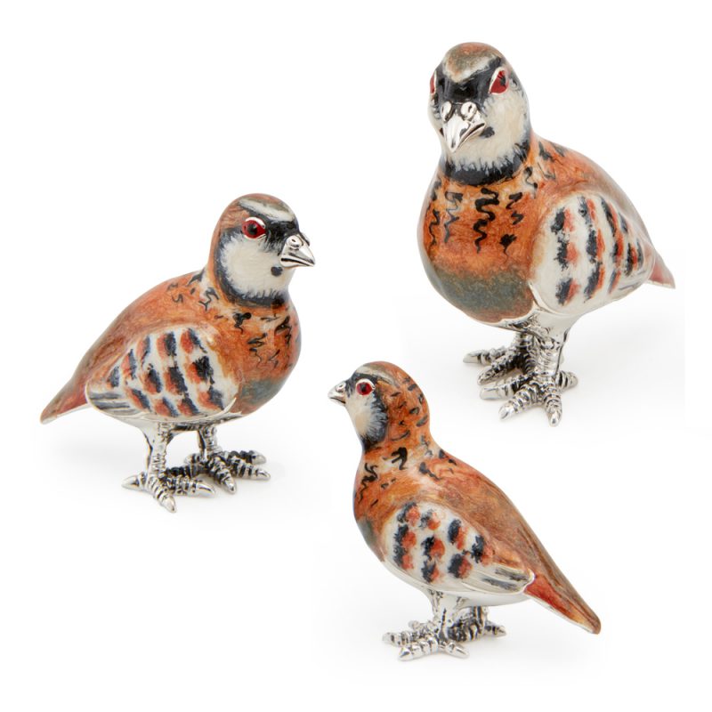 ST458-Patridge-family