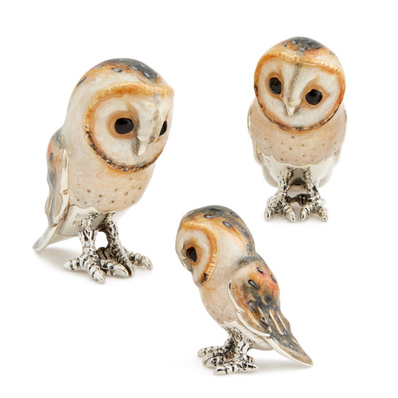 ST459-Barn-Owls-family
