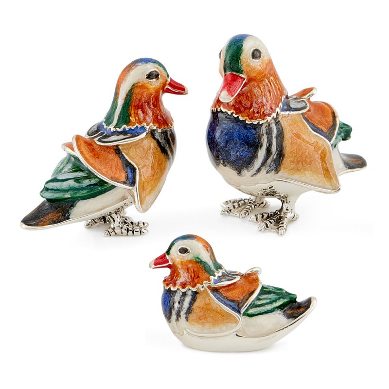 ST502-Mandarin-Duck-family
