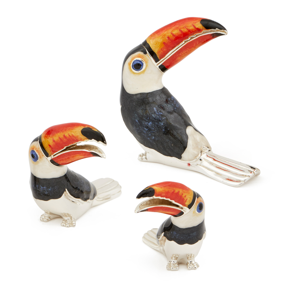 ST559-Toucan-Family