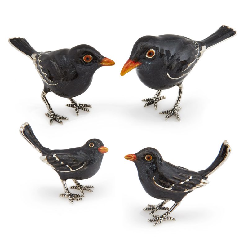 ST621-Blackbird-Family