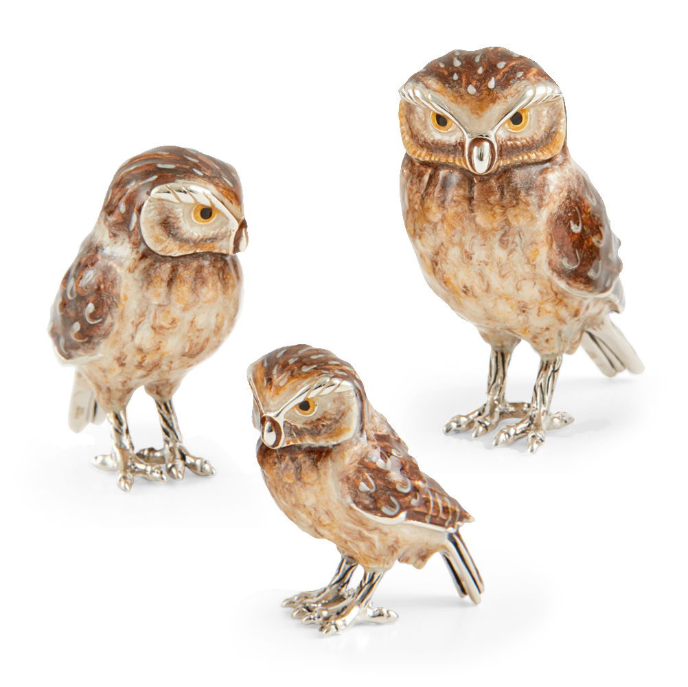 ST631-owls-family