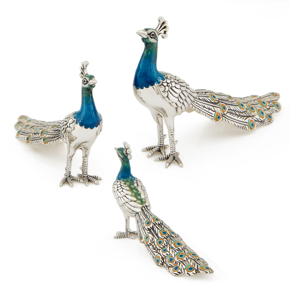 ST102-Family-Peacocks