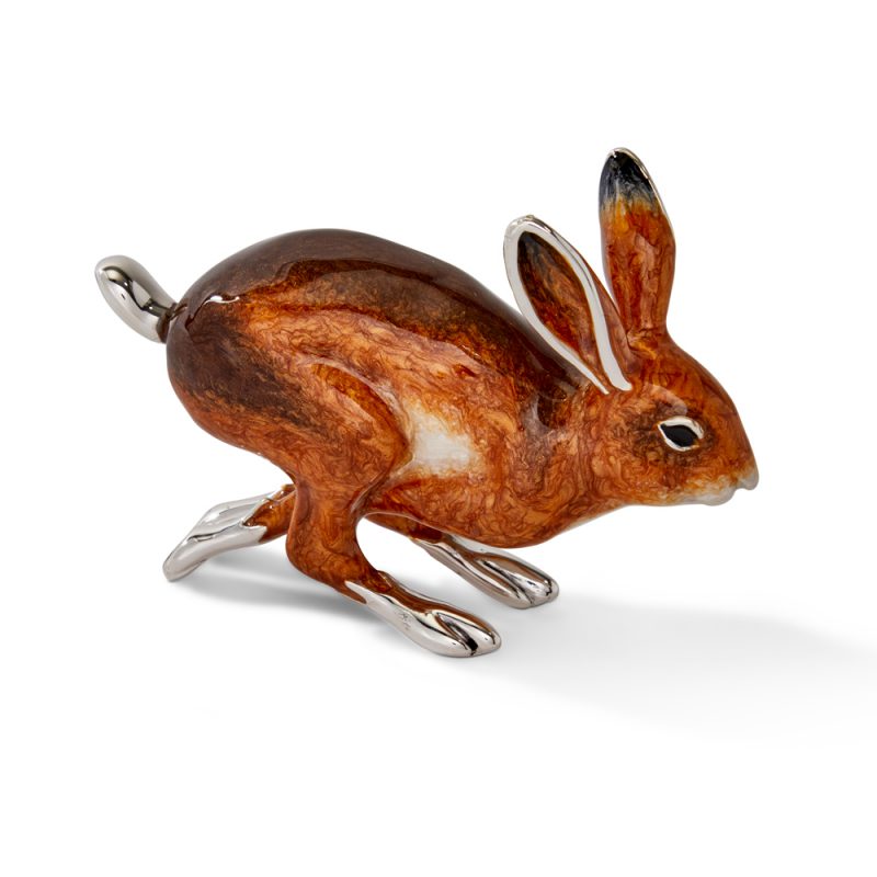 ST-697-Hare