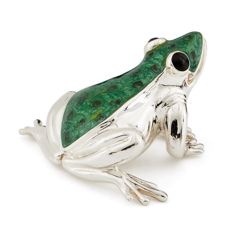 ST59-large-frog