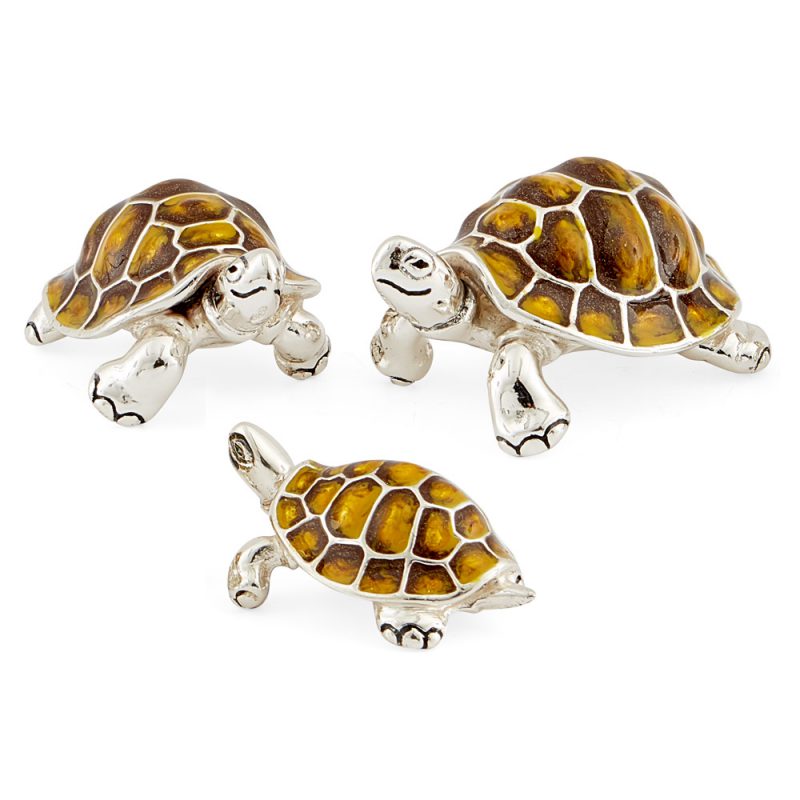 ST291-Yellow-Tortoise-family