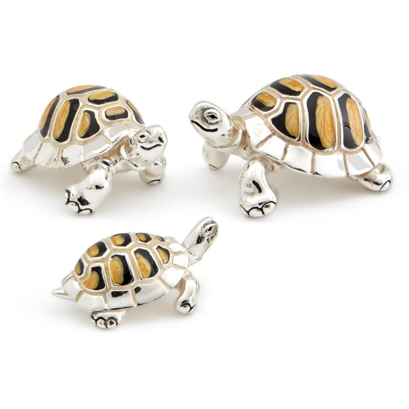ST36-Yellow-Tortoise-Family