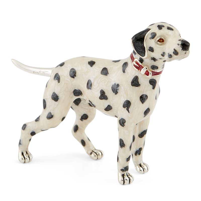 ST323-Dalmation