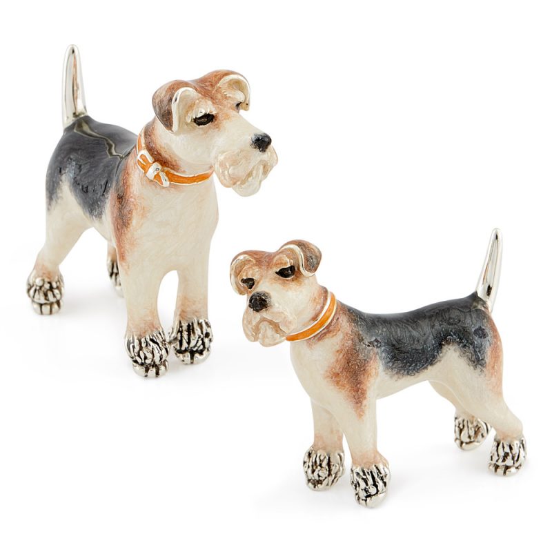 ST531-Fox-terriers