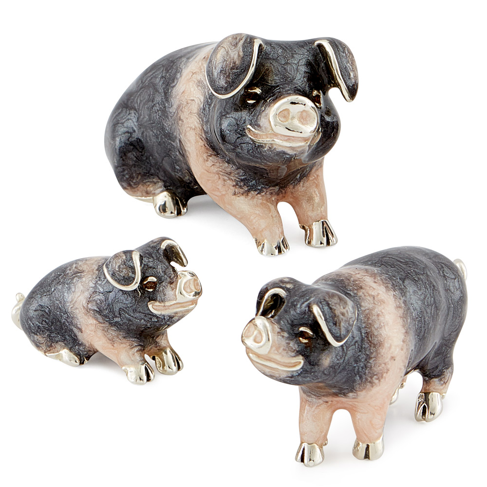 ST277 - Saddleback Pigs