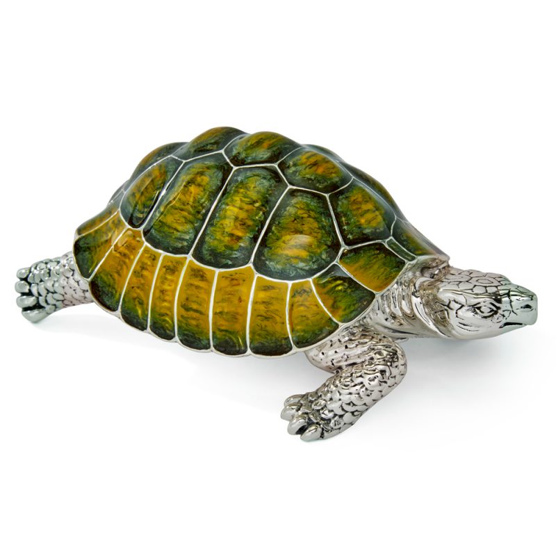 ST-320-Turtle-3