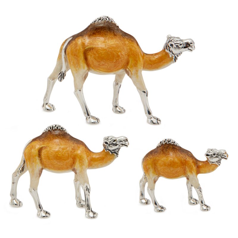 ST317-Camel-Family