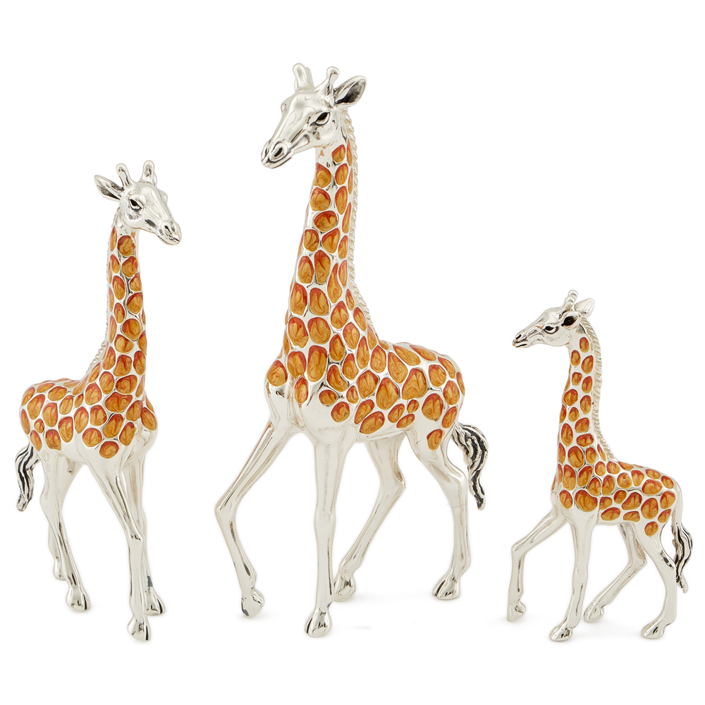 ST68-giraffe-family