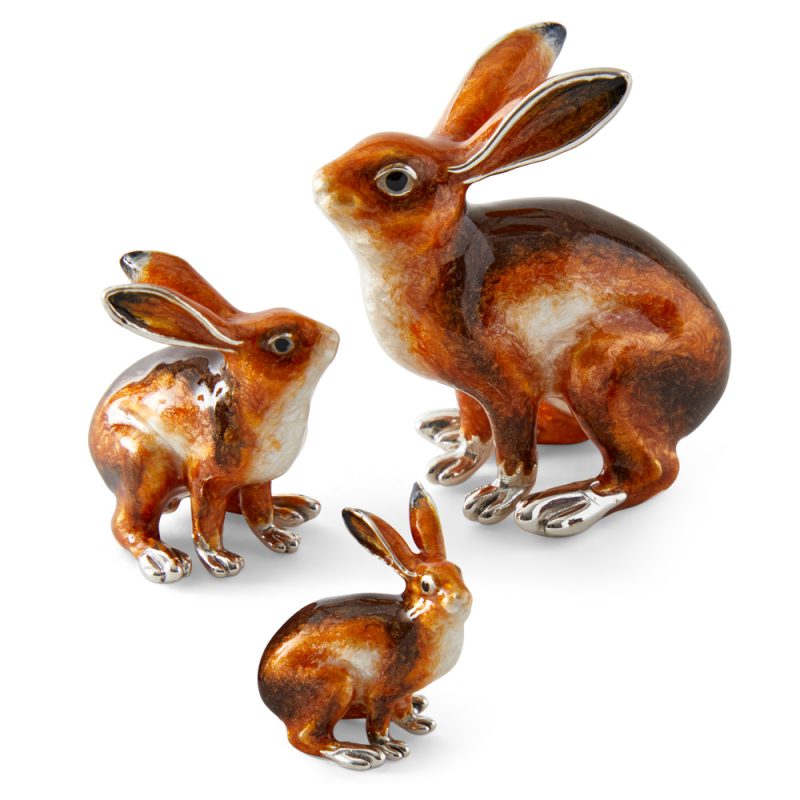 ST-840-Hare-family-4-1